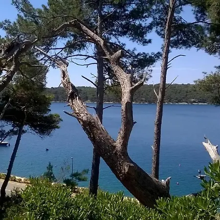 Tina2683 Lejlighed Mali Lošinj