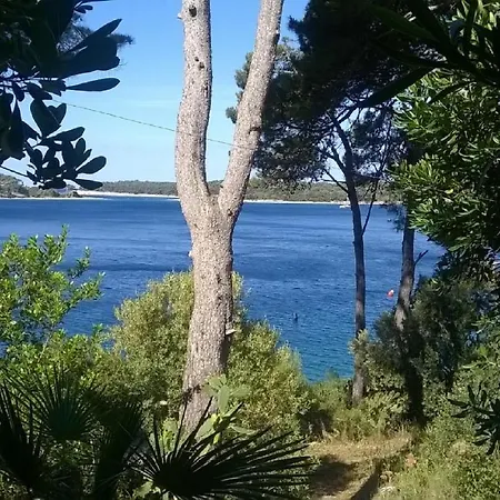 Lägenhet Tina2683 *