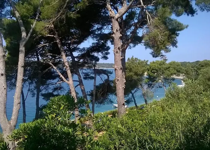 Tina2683 Apartment *