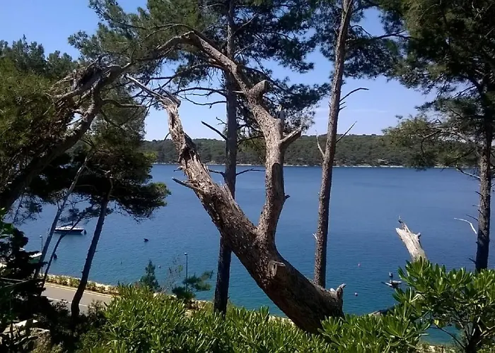 Tina2683 Apartment Mali Losinj